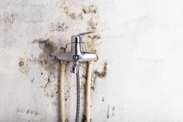 Home Mold Removal in Copper Canyon, TX