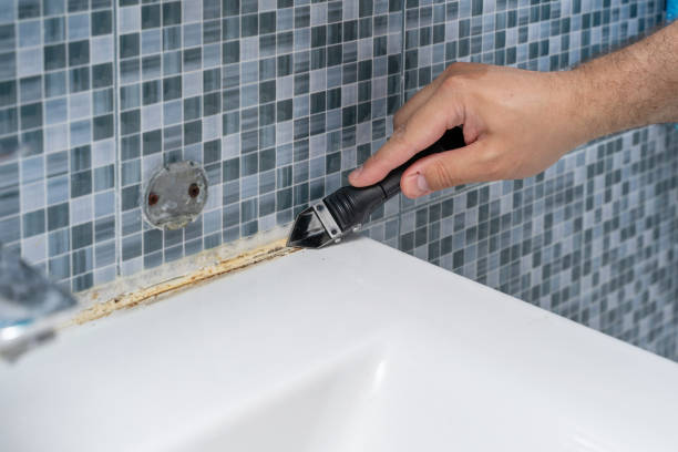 Best Office Mold Removal Services  in Copper Canyon, TX