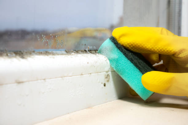 Best Mold Cleaning Services  in Copper Canyon, TX
