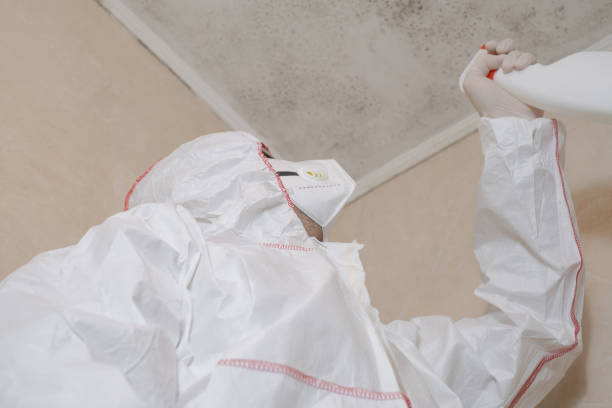 Best Mold Testing  in Copper Canyon, TX