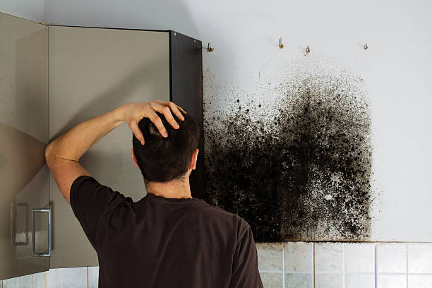 Best Black Mold Removal  in Copper Canyon, TX